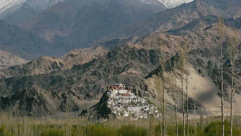 julley_here_we_go-leh_ladakh_11.webp